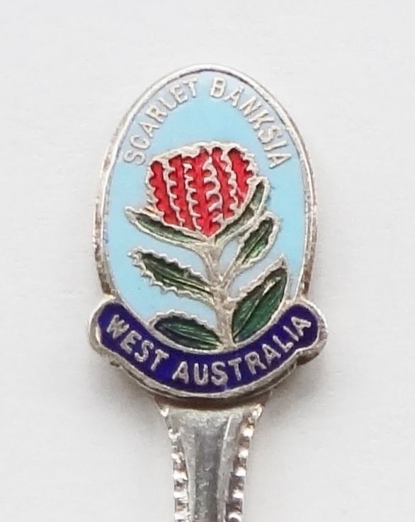 Collector Souvenir Spoon Australia Western Australia Scarlet Banksia Cloisonne - $9.99