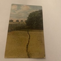 Vintage Postcard Posted A Path Through Corn Fields - £2.42 GBP