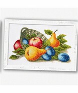 Fruitful Stitches DIY Embroidery Kit - Counted Cross Stitch with 14 Coun... - $75.47 CAD