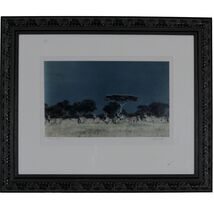 Zebras, Tanzania by John Wolf Signed Framed Photograph 24 x 20 - $199.04