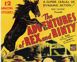 The Adventures Of Rex And Rinty, 12 Chapter Serial, 1935 - £15.74 GBP