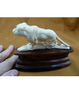 (DOG-6) Pit Bull puppy dog walking shed ANTLER figurine Bali detailed ca... - €76,95 EUR