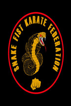 Snake Fist Karate Video Seminar 1. - £9.73 GBP
