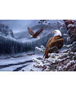 Art American bald eagle Oil painting Giclee Art Printed on canvas - £9.04 GBP+