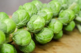 Long Island Brussels Sprouts Seeds Non-Gmo Heirloom 750 Fresh Seeds Fast Shippin - £7.07 GBP