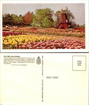 Michigan Holland Tulip Time Festival Netherlands Dutch Windmill Vintage Postcard - £7.51 GBP