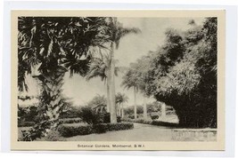 Botanical Gardens Photo Postcard Montserrat British West Indies 1930&#39;s - £14.08 GBP