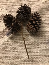 Pinecones Decorations - $10.77