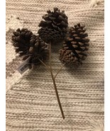 Pinecones Decorations - £6.84 GBP