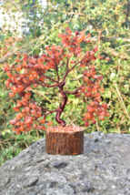 Red Carnelian Crystal Tree | Copper Wire Bonsai for Energy &amp; Creativity ... - $39.59+