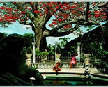 Kapok Tree Clearwater FL Florida UNP Chrome Postcard H6 - $2.92