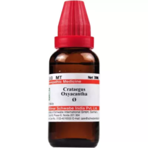 Willmar Schwabe Homeopathy Crataegus oxyacantha Mother Tincture Q (30 ML)  - £8.85 GBP