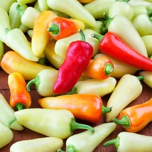 Sante Fe Gre Hot Pepper Seeds 25 Vegetable Garden - £3.15 GBP