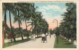 Palma Spiaggia Florida ~ Automobile Bicicletta Sentiero IN Motivi Reale - £6.49 GBP