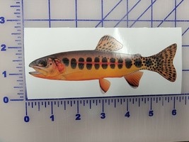 Golden Trout Fish Native  vinyl custom car truck time decal Realistic Re... - £3.35 GBP