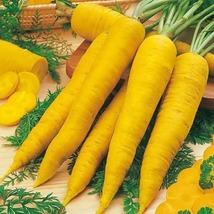 Carrot Seeds - Yellow -  Outdoor Living - Vegetable Seeds -  Free Shipping - $38.99