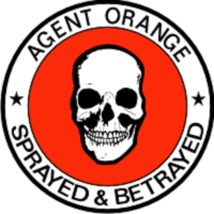 3&quot; AGENT ORANGE SKULL SPRAYED AND BETRAYED DECAL STICKER MADE IN USA - $26.99