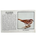 Fox Sparrow Bird Print 1931 Blue Book Birds Of America Antique Art PCBG13C - $19.99