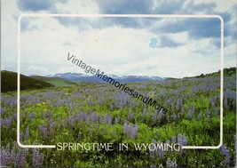 Wild Springtime Flowers Big Horn Mountains Wyoming Postcard PC226 - £3.92 GBP