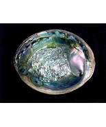 Abalone Sea Shells, Natural Rainbow Abalone, Mother of Pearl Shells, Lar... - £15.83 GBP