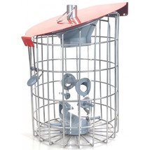 Nuttery 11 x 7.5 in. Roundhaus Squirrel Resistant Seed Feeder Red - $71.26