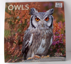 DAYSPRING  Owls Wall Calendar 2024 12&quot; X 24&quot; Includes 2025 Four-Month Ca... - $14.84