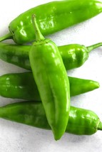 Guizeppi Chili Pepper Seeds, NuMex, Mild Hatch, Green Chile, FREE SHIPPING - $1.77+
