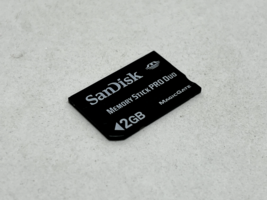 Sandisk 2Gb Memory Stick Pro Duo Magic Gate Memory card - Black - $9.89
