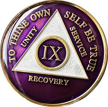 9 Year AA Medallion Metallic Purple Tri-Plate Gold Plated Chip IX - $17.81