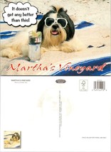 Massachusetts Cape Cod Martha&#39;s Vineyard Sunglasses Dog Speaking VTG Pos... - £7.48 GBP