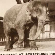 Indian Elephant Tobacco Card Real Photograph Vintage Original - £7.95 GBP