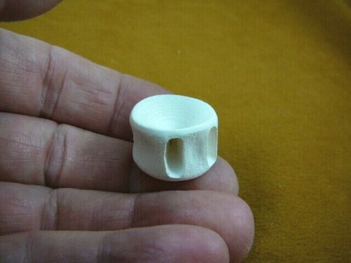 (s877-8) white modern Shark vertebrae back bone vert vertebrate I love s... - $10.39