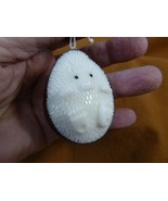 (TNE-HED-636b) Hedgehog hanging on string TAGUA NUT figurine hedgehogs - $32.05 CAD