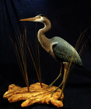 Blue Heron, egret or crane wildlife bird art sculpture - £284.30 GBP