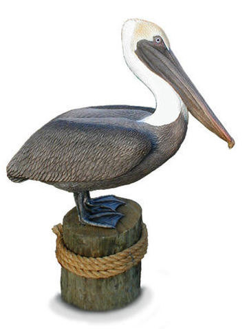 Primary image for Lifesize BROWN PELICAN Sculpture, limited ed.
