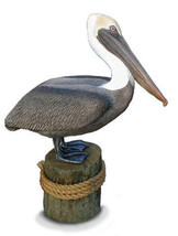 Lifesize BROWN PELICAN Sculpture, limited ed. - $347.00