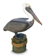 Lifesize BROWN PELICAN Sculpture, limited ed. - £272.96 GBP