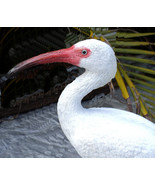 Ibis White 12 in. waterbird sculpture - £107.76 GBP