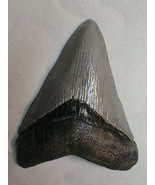 Fossil Shark Tooth replica sculpture 5.5 x 4 in - €15,51 EUR
