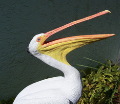 Life-sized Brown Pelican statue - Open Mouth - £279.56 GBP