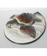 Loggerhead Sea TURTLE 12 x 4 in - £46.59 GBP