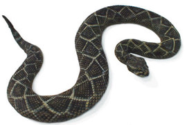 Diamondback Rattlesnake Sculpture - £146.05 GBP