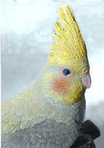 Life-size Cockatiel Parrot Bird sculpture 11 x 9 inches - $63.80