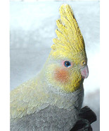 Life-size Cockatiel Parrot Bird sculpture 11 x 9 inches - £50.18 GBP