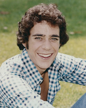 Barry Williams in The Brady Bunch portrait as Greg 16x20 Poster - $19.99