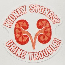 Kidney Stones? Urine Trouble! Medical Parody Sticker Decal Funny Embelli... - £1.83 GBP