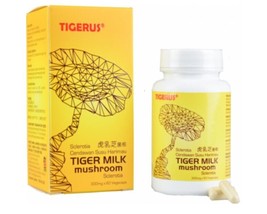 60’s TIGERUS Tiger Milk Mushroom Sclerotia ORIGINAL &amp; HALAL + EXPRESS SH... - $64.75