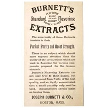 Burnett&#39;s Flavored Food Extracts 1885 Advertisement Victorian Baking ADBN1A13 - £11.21 GBP