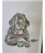 Newfoundland Puppy Print of Watercolor by Hannah Dale Matted 8 x 10 Inch - £11.73 GBP