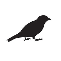 Bird Vinyl Decal Design 9-5.8&quot; wide x 3.5&quot; Tall - £4.19 GBP